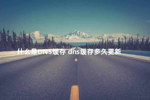 什么是DNS缓存 dns缓存多久更新一次